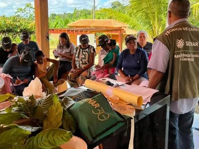 Curso de enxertia do cacau leva qualificação a agricultores da zona rural de Teolândia