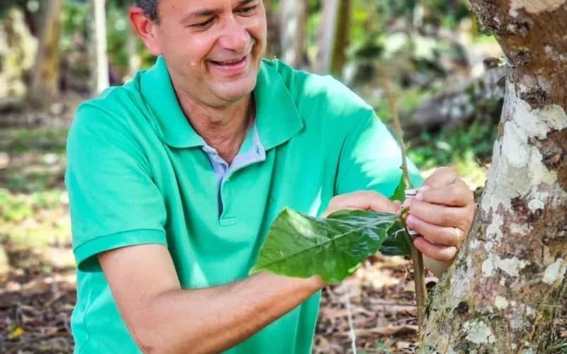 Após gastar mais de R$ 1 milhão com shows, prefeito de Piraí do Norte decreta contenção de despesas