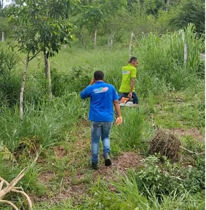 Advogado denuncia suposto crime ambiental cometido por associação em Gandu
