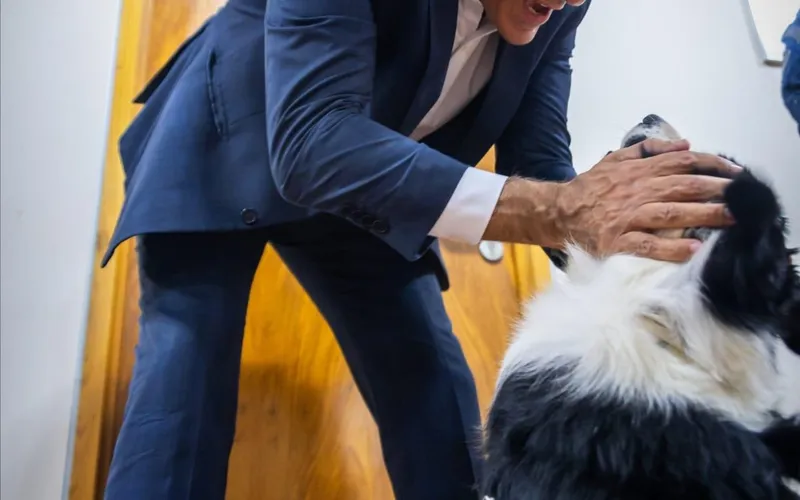 PT comemora desempenho de Haddad em pesquisa mesmo com números apontando vitória no primeiro turno para Tarcísio