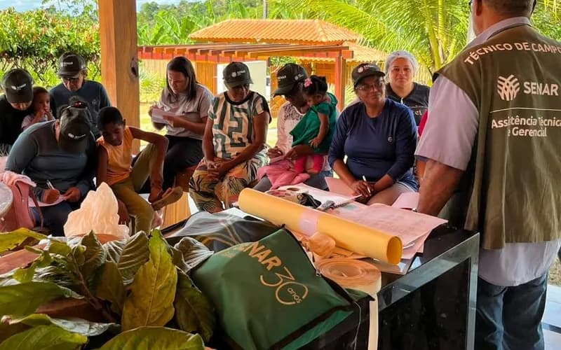 Curso de enxertia do cacau leva qualificação a agricultores da zona rural de Teolândia