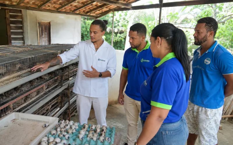 Teolândia avança na implantação do SIM e fortalece produção da agricultura familiar