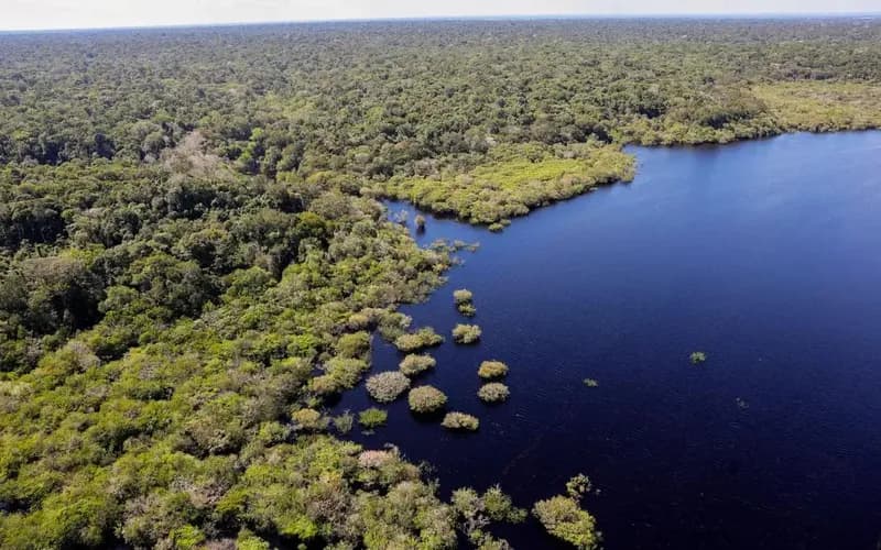 Criação do Museu das Amazônias é lançada em Belém