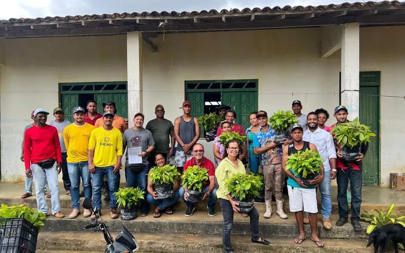 Prefeitura de Teolândia entrega mudas da Biofábrica e reforça apoio aos agricultores do programa “Cacau Mais”