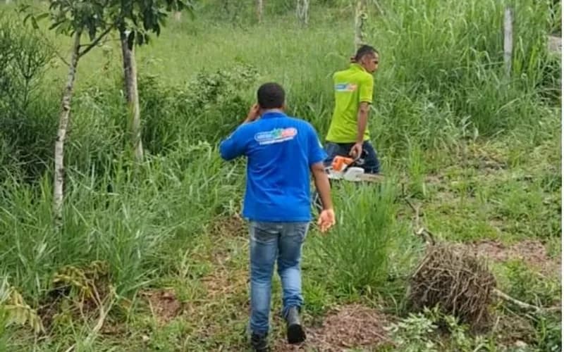 Advogado denuncia suposto crime ambiental cometido por associação em Gandu