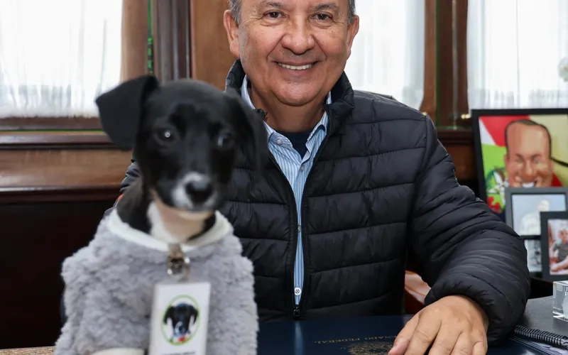 Governador de Santa Catarina proíbe cotas raciais em universidades