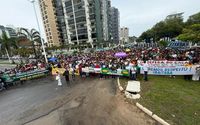 Cacauicultores protestam em Ilhéus contra importações e queda no preço do fruto