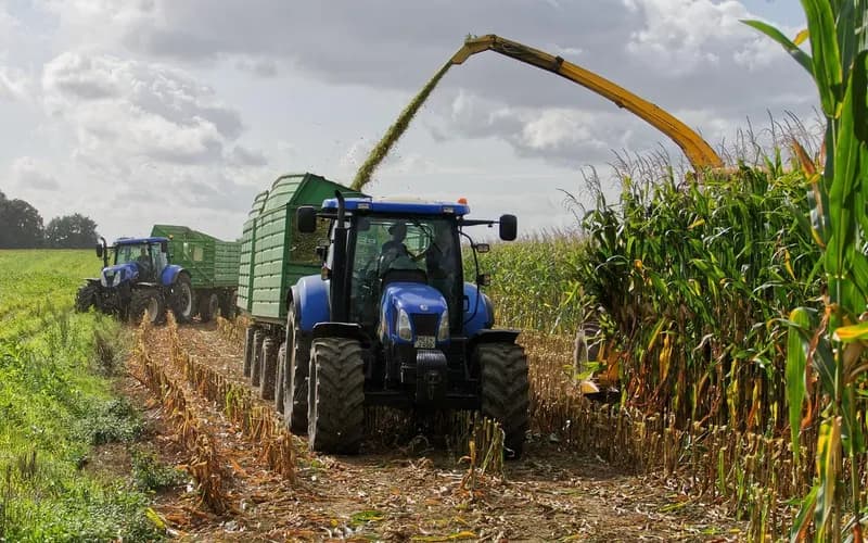 Estudo indica bioinsumo como solução sustentável na produção alimentar