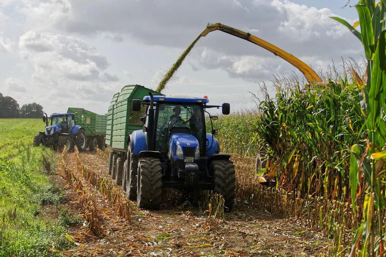 Estudo indica bioinsumo como solução sustentável na produção alimentar