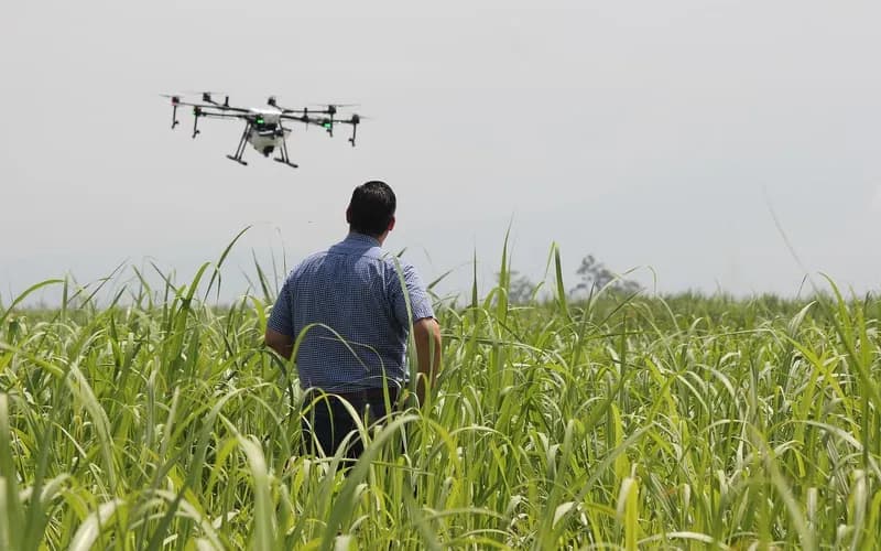 Do uso de drones à agricultura regenerativa, o setor agro brasileiro alia tradição e inovação para alimentar o mundo e impulsionar a economia.