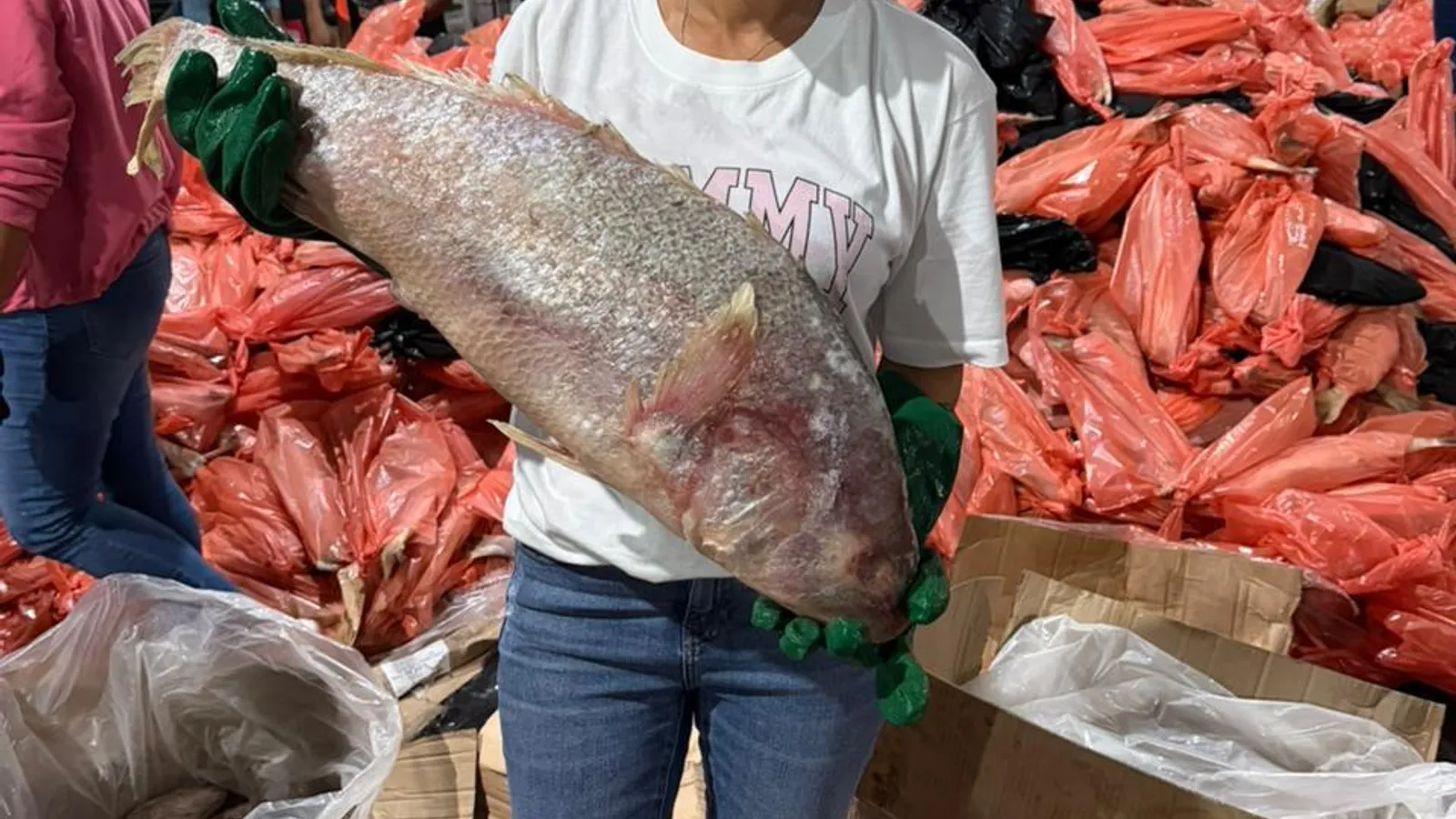 Gestão de crise e resposta rápida marcam atuação da prefeita Daiana Santana em Gandu