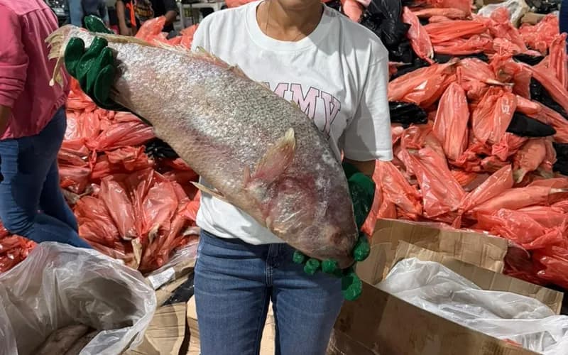 Gestão de crise e resposta rápida marcam atuação da prefeita Daiana Santana em Gandu