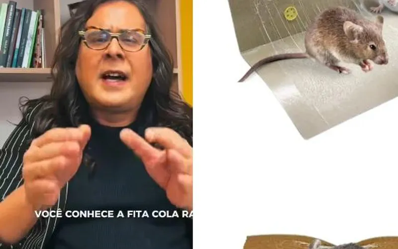 Deputada trans do PSOL de Minas quer proibir armadilha para ratos no Brasil