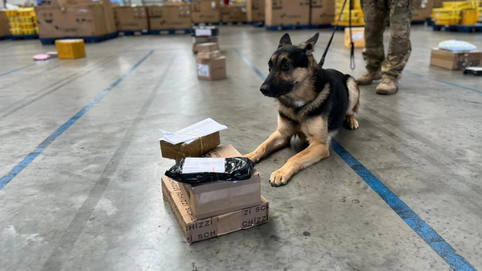 Polícia encontra arma e drogas em centro de operações dos Correios na Bahia