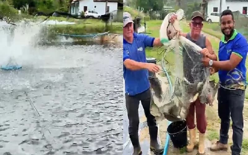 Programa Pescando Saber transforma a realidade de agricultores e fortalece a piscicultura em Teolândia