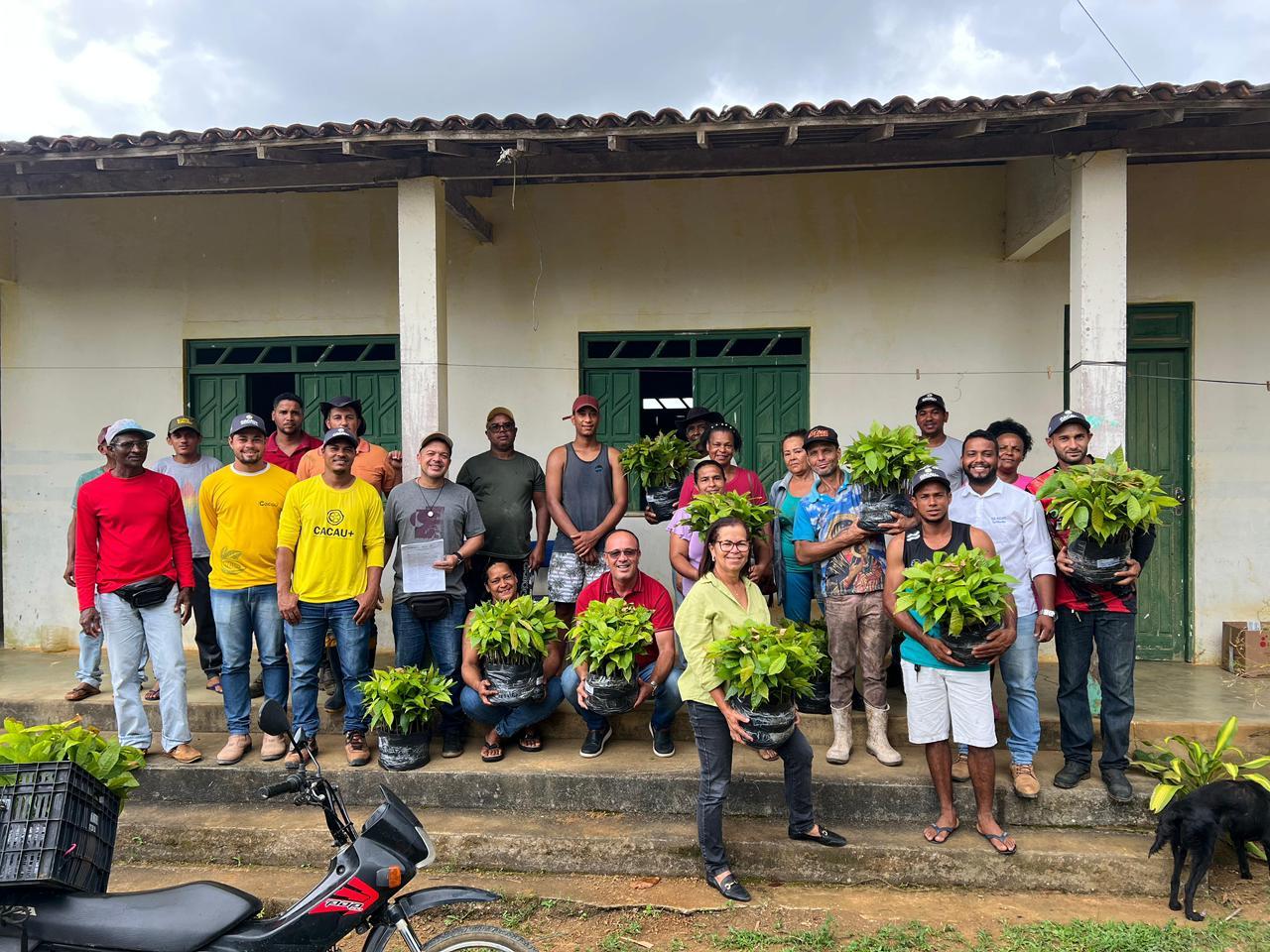 Prefeitura de Teolândia entrega mudas da Biofábrica e reforça apoio aos agricultores do programa “Cacau Mais”