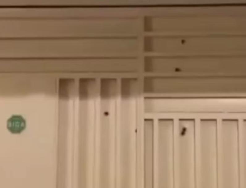 Subtenente da Polícia Militar tem casa atacada a tiros no interior da Bahia