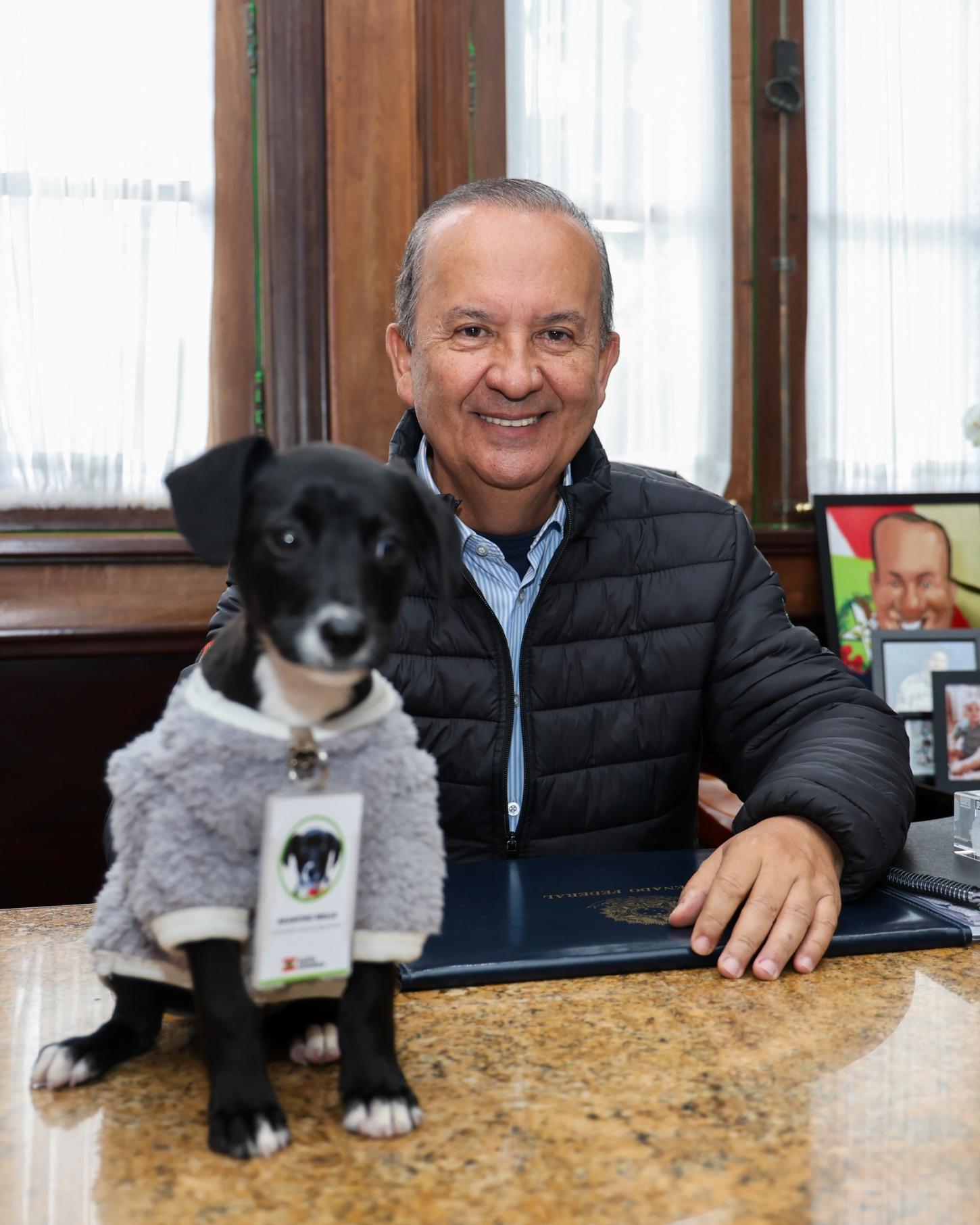 Governador de Santa Catarina proíbe cotas raciais em universidades
