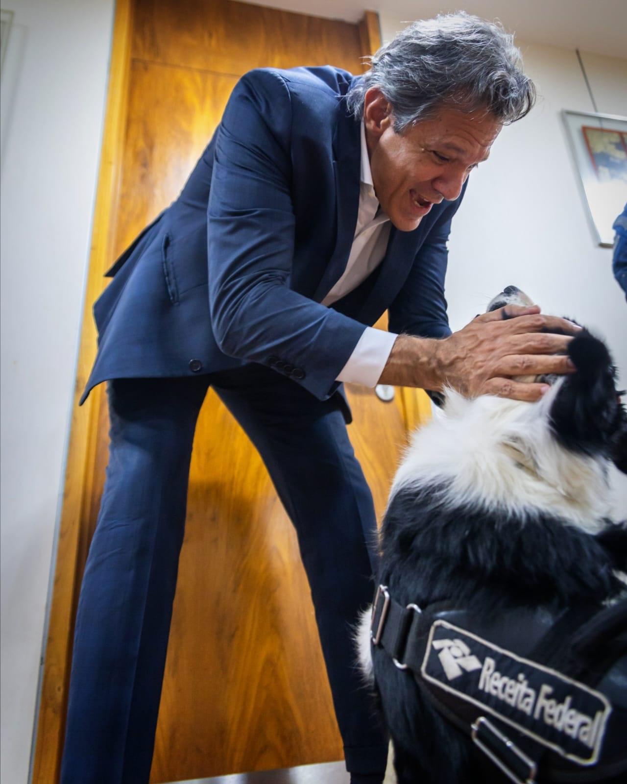 PT comemora desempenho de Haddad em pesquisa mesmo com números apontando vitória no primeiro turno para Tarcísio