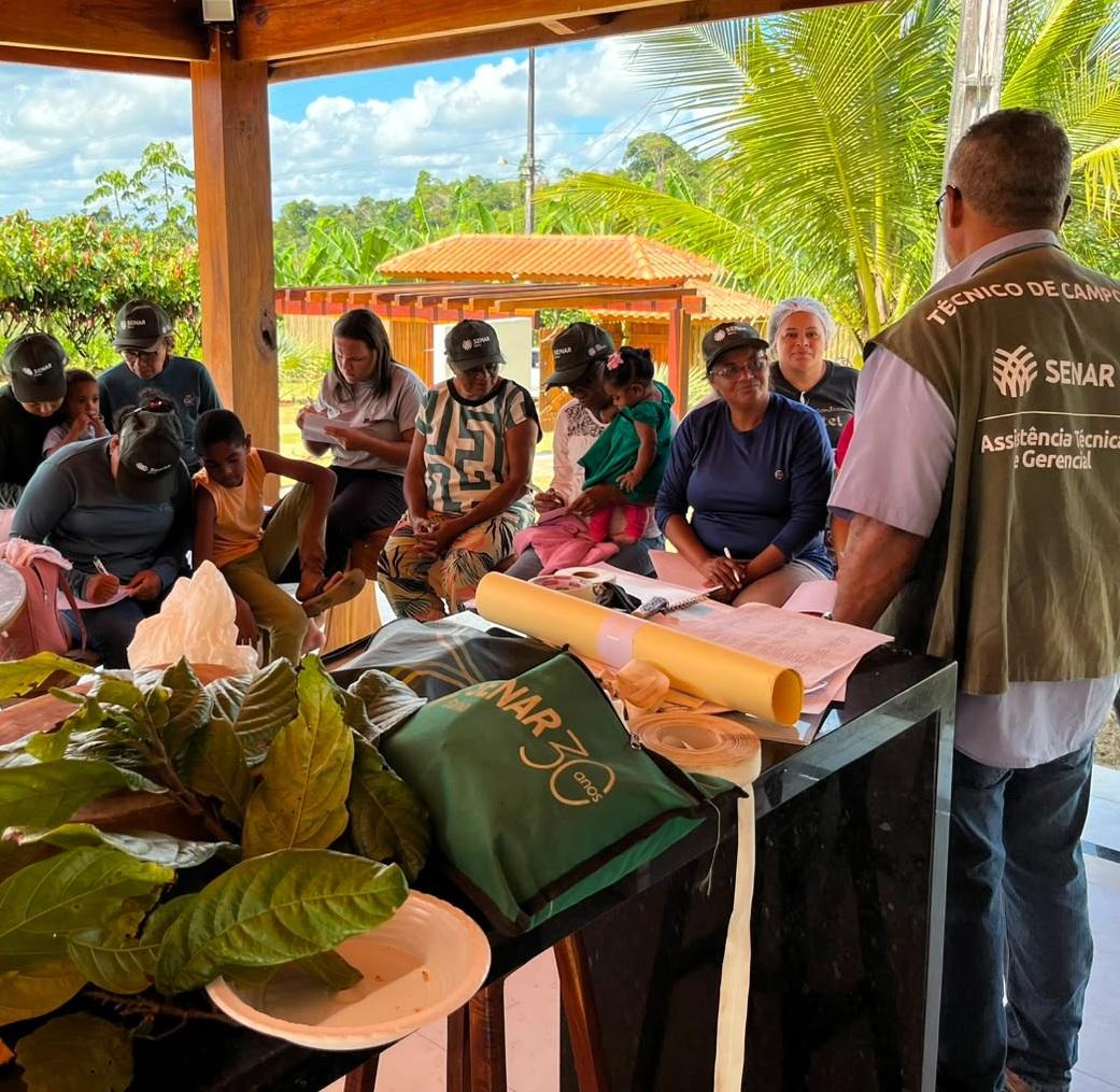 Curso de enxertia do cacau leva qualificação a agricultores da zona rural de Teolândia