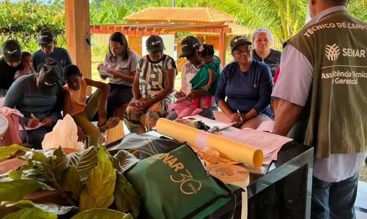 Curso de enxertia do cacau leva qualificação a agricultores da zona rural de Teolândia