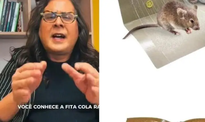 Deputada trans do PSOL de Minas quer proibir armadilha para ratos no Brasil
