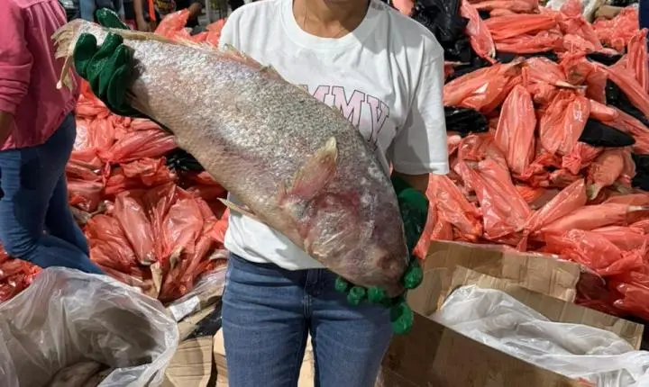 Gestão de crise e resposta rápida marcam atuação da prefeita Daiana Santana em Gandu